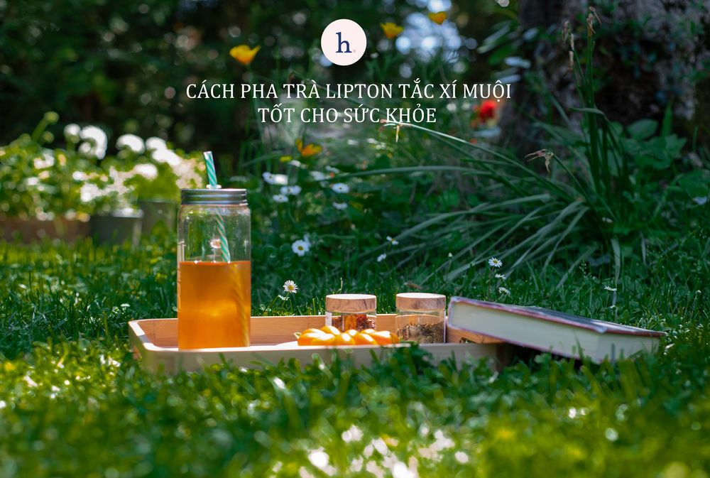 Cách pha trà lipton tắc xí muội tốt cho sức khỏe