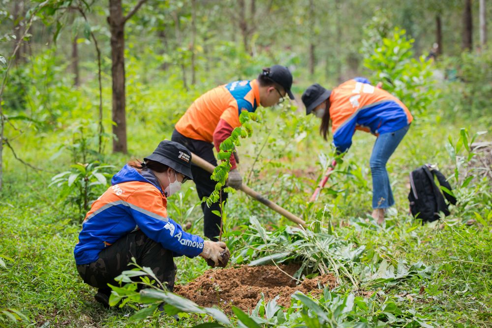 Hành trình “AhaForest: Giao đơn nhỏ, gieo mầm xanh” - Khi ý nghĩa lớn lao được tạo ra từ những điều nhỏ bé