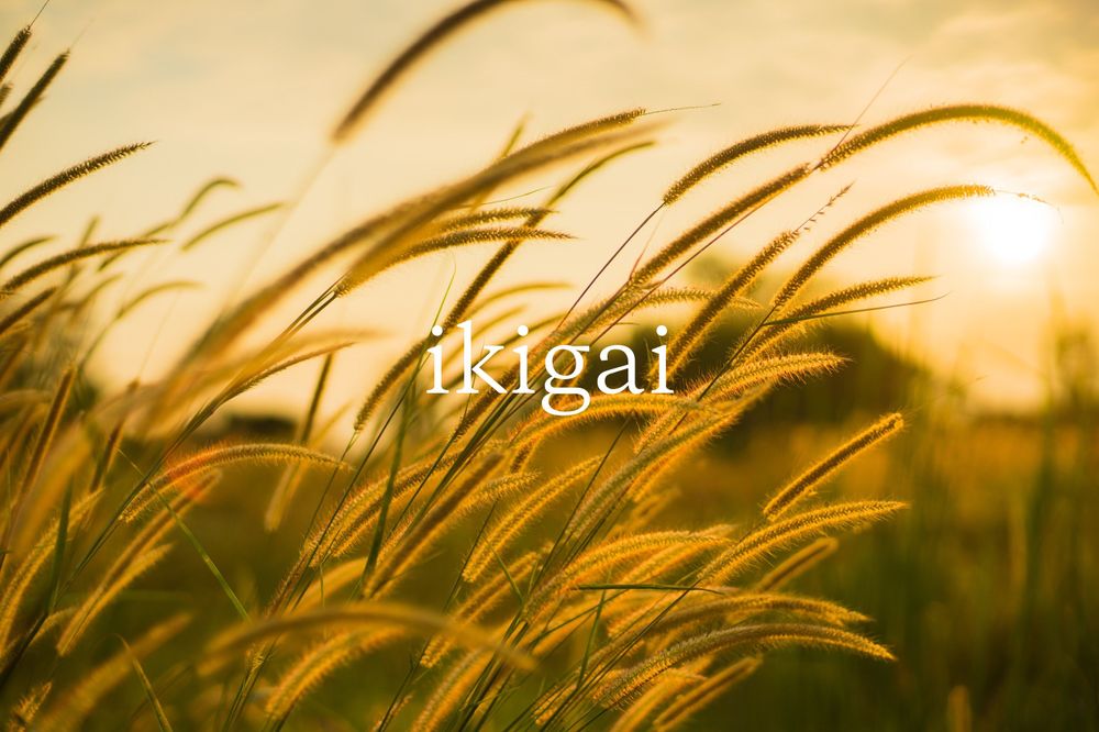 Phương thức giúp triết lý Ikigai trở nên đơn giản hơn bao giờ hết