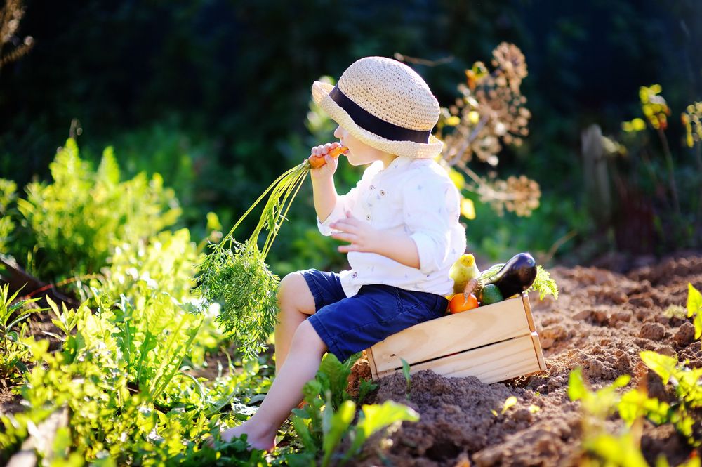 Saturday Science - Để trẻ nhỏ “ăn đất” vì hệ miễn dịch khỏe mạnh