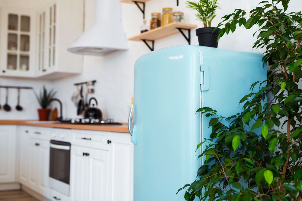 Sử dụng tủ lạnh đúng cách để tiết kiệm tiền điện trong mùa hè 
