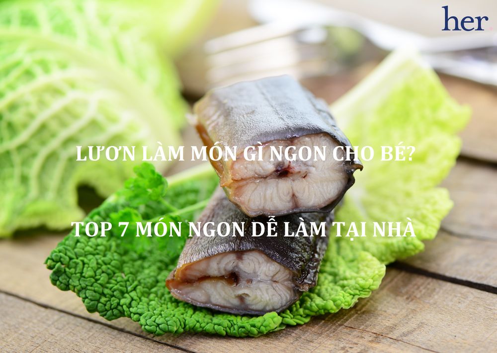 Lươn làm món gì ngon cho bé? 7 món ngon từ lươn dễ làm tại nhà