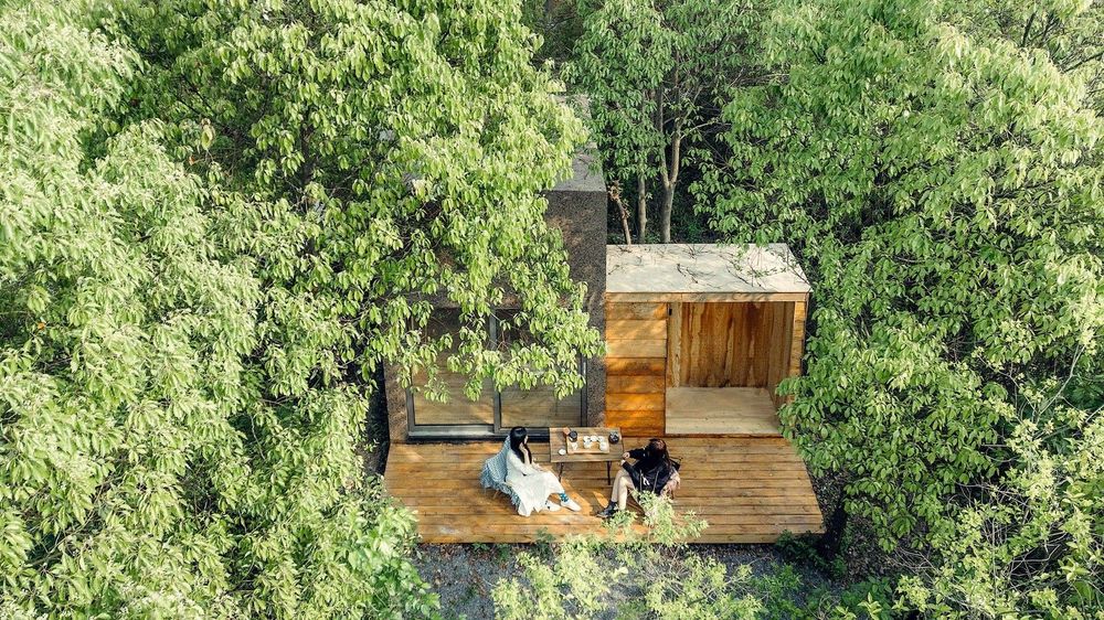 Những ngôi nhà gỗ yên bình giữa rừng xanh