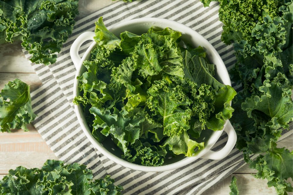 Lá cải xoăn (Kale) sấy - Snack lành mạnh nhất hành tinh
