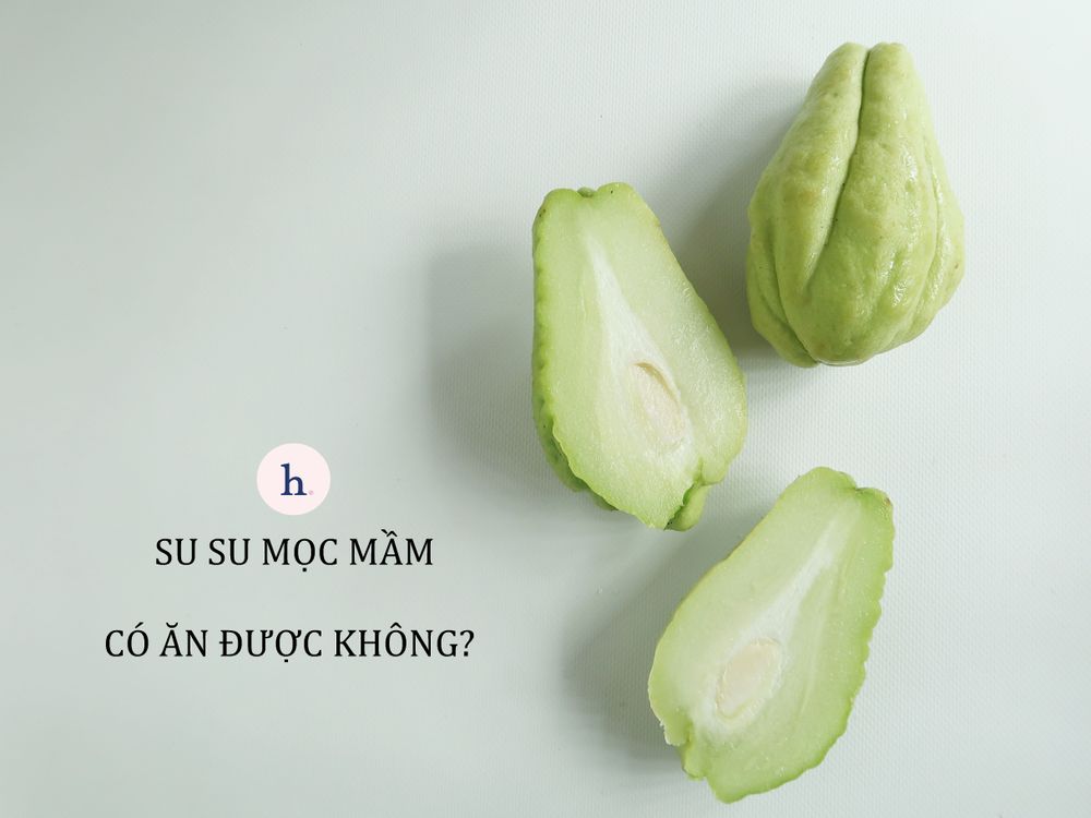 Su su mọc mầm có ăn được không? Loại rau củ mọc mầm nào ăn được