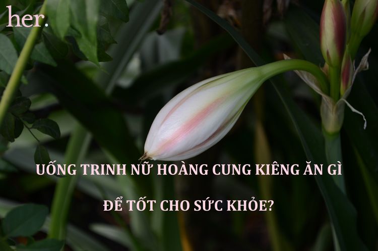 Uống trinh nữ hoàng cung có thể làm tăng căng thẳng và mất ngủ không?
